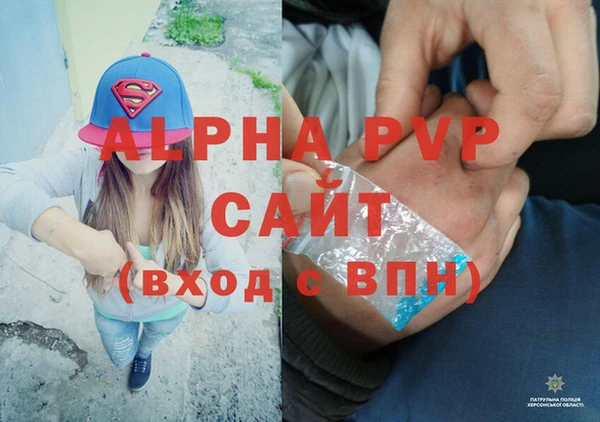 стафф Алзамай