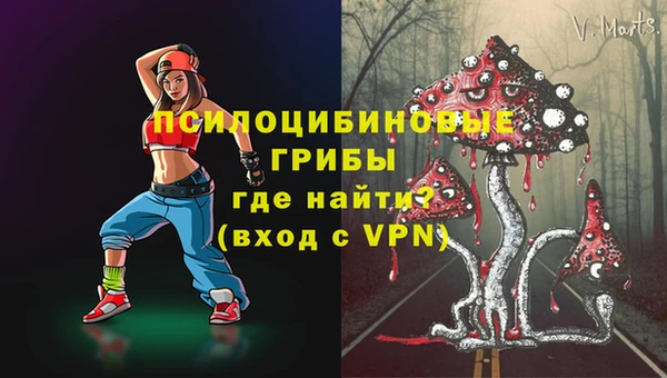 стафф Алзамай