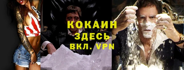 стафф Алзамай